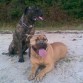 otto y yara en la playa 